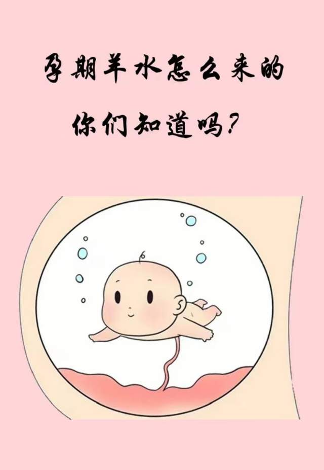羊水是胎儿的尿吗 baijiahao.baidu.com