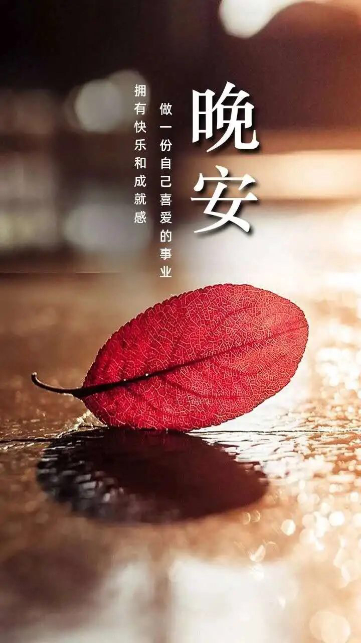 晚安语录 在这安静的夜晚