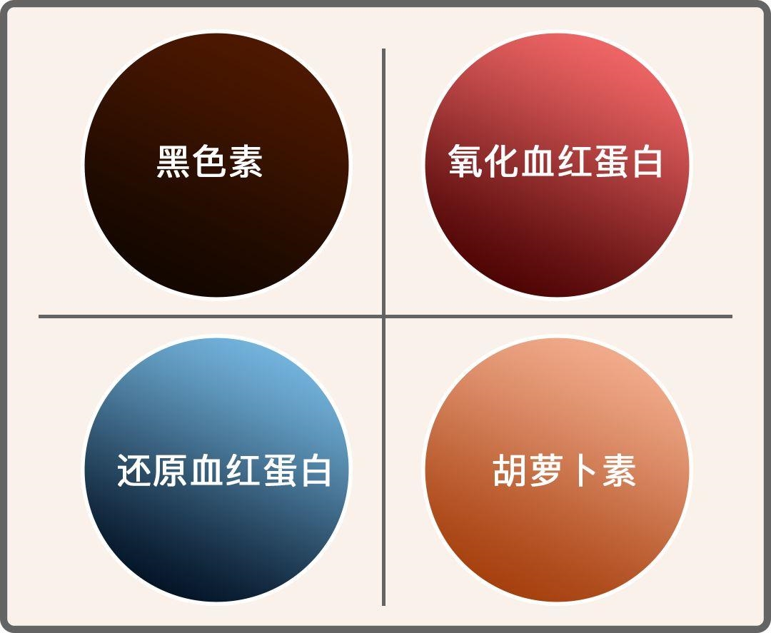 测量皮肤颜色有何用途?