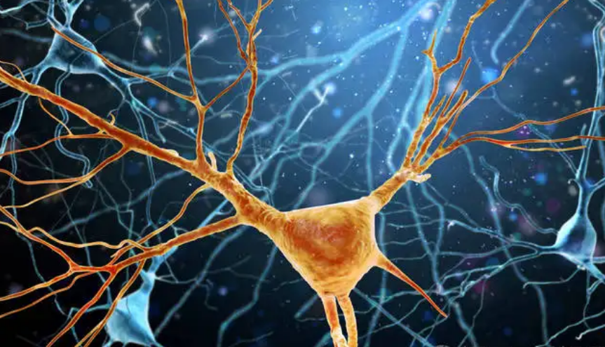 运动神经元疾病是什么病