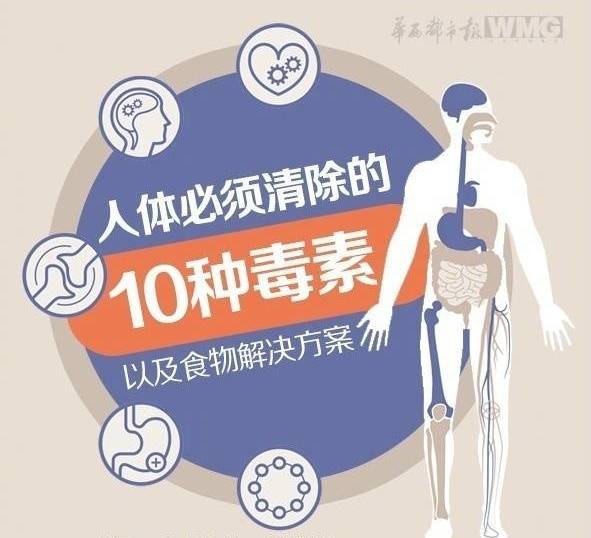 如何排除体内毒素 10种方法帮你清理体内毒素,建议收藏 分享
