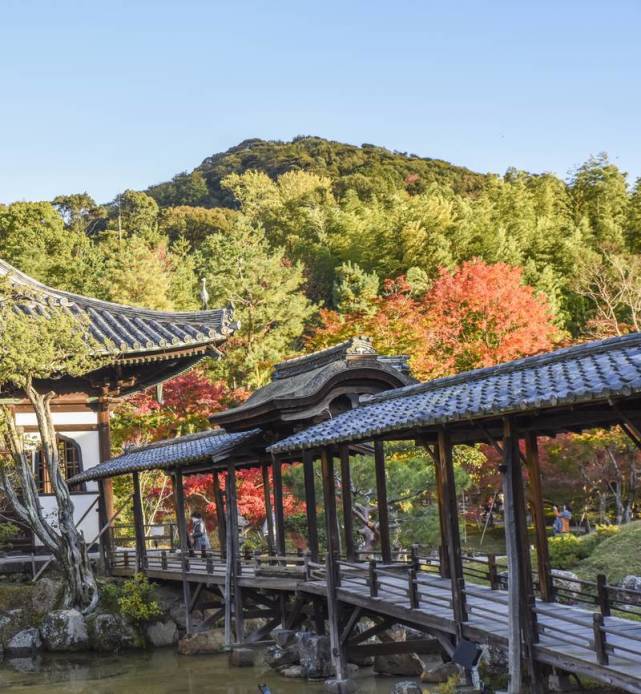 日本的高臺寺和泰姬陵一樣,是永恆愛情的紀念碑