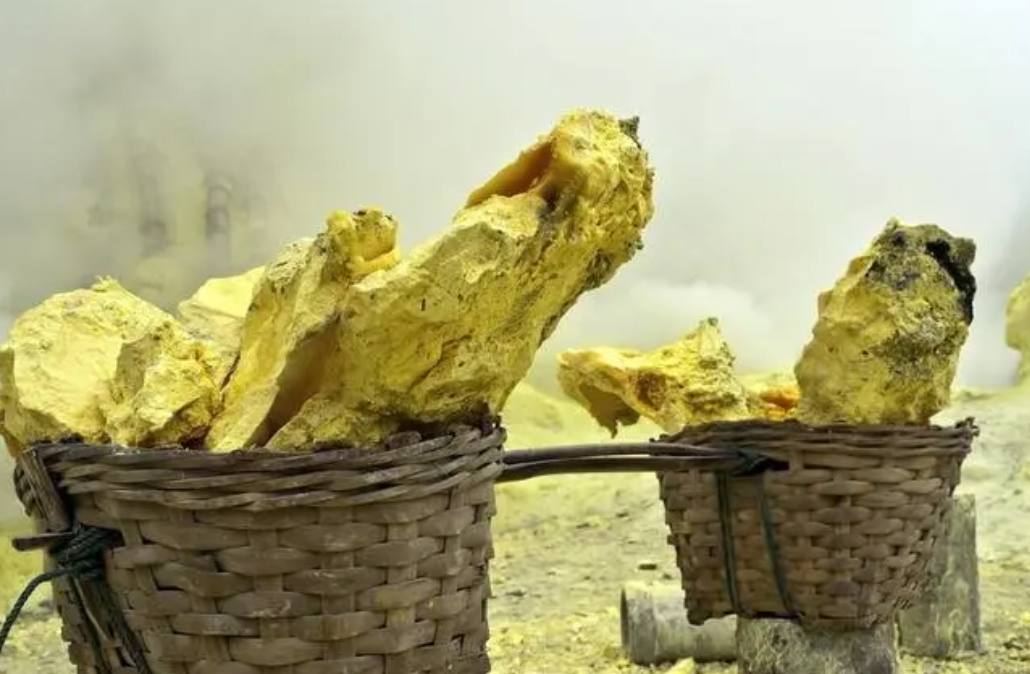 阮朝时期,"半银半钱"的港税是如何进行推行的?