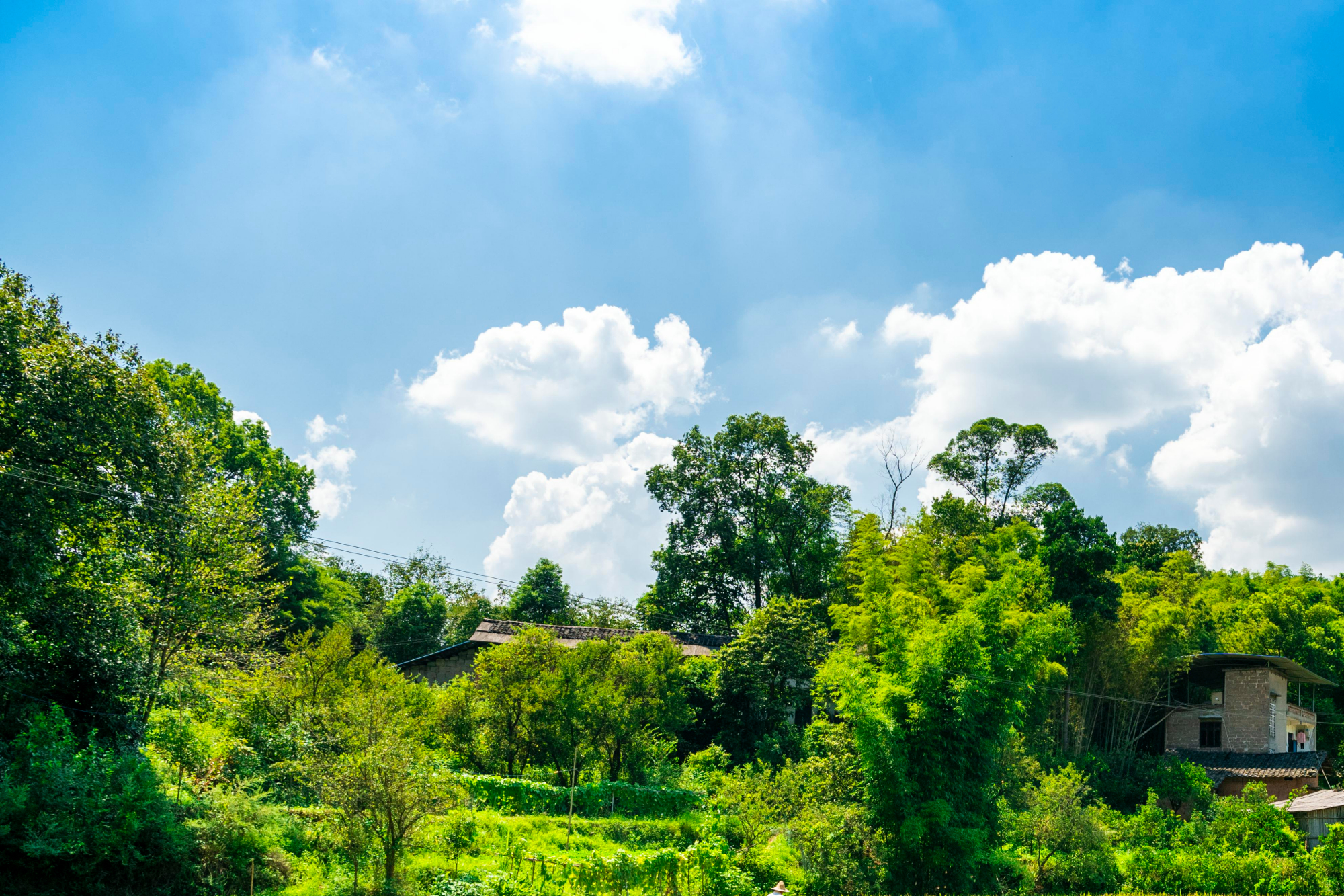 巴南区界石镇:奏响和谐高亢的时代进行曲