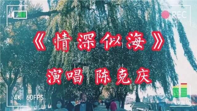 《情深似海》是中国大陆男歌手 陈克庆演唱的歌曲,由陈克清自己作词