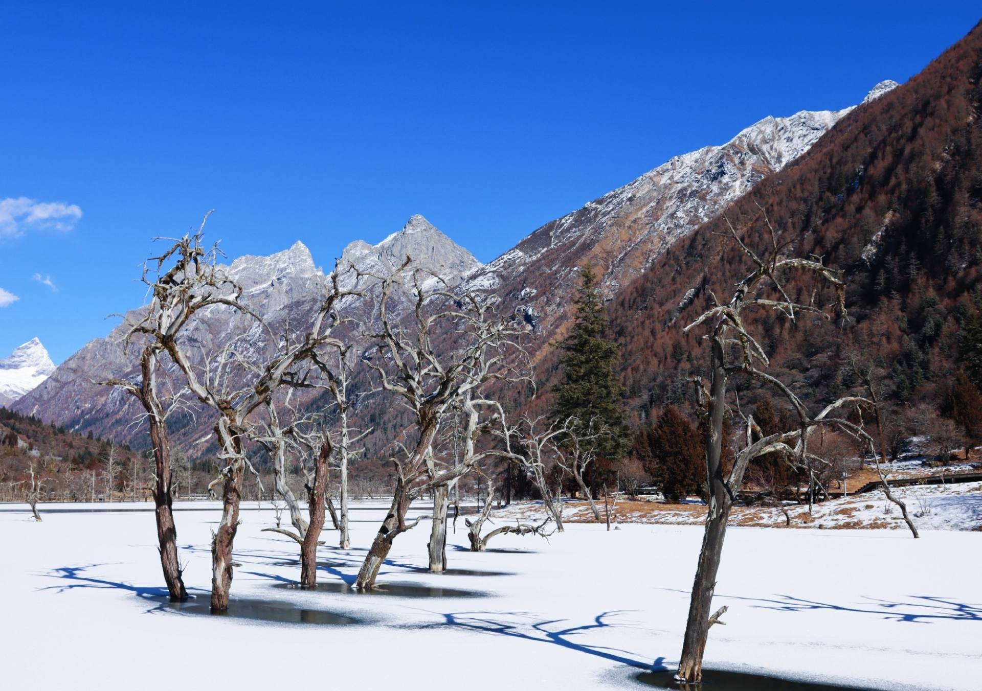 成都人的冬季旅游路线:2日深度拥抱四姑娘山,自驾5h直达!