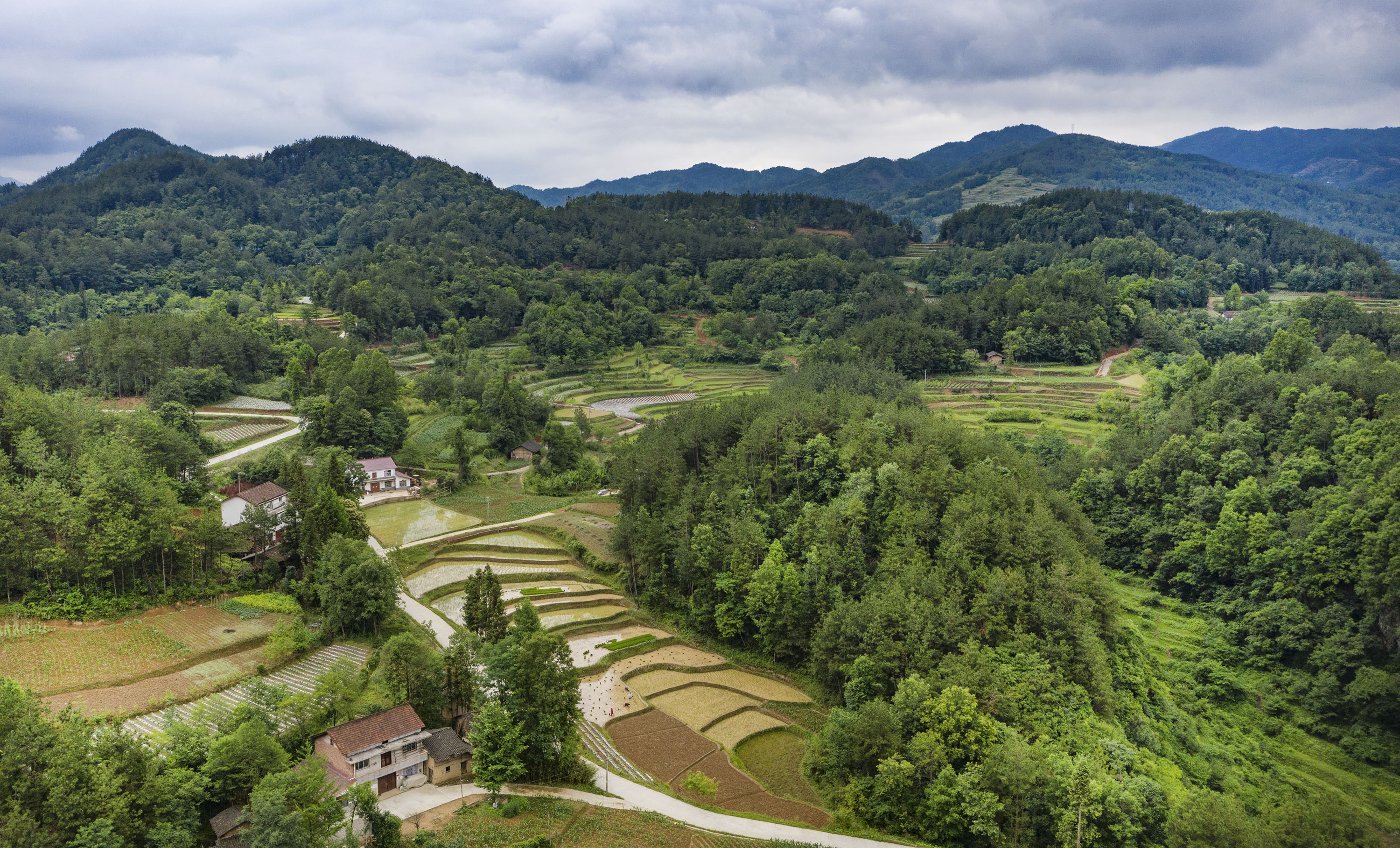 秦巴小山村的华丽蜕变(2)