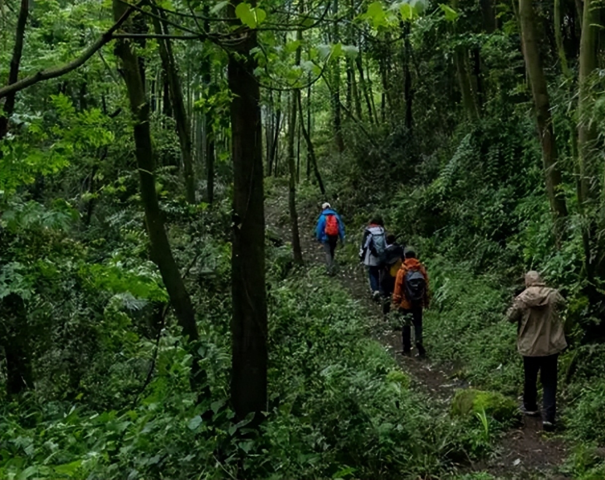 回顾四川黄泉路被政府封禁400年成一级禁区谜团至今无人能解