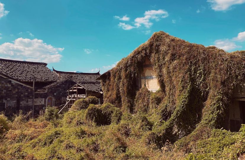福建也有无人村,村里有村的无人之境,时光遗留的沧桑美