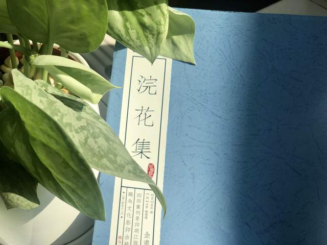 「鹏为文化简印推荐」浣花集