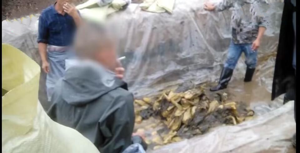 "纸壳馅包子"事件反转,网友却不买账,食品安全水太深!