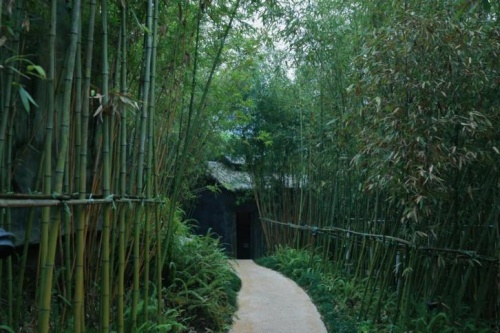 在重慶心景 賞一場巴山夜雨