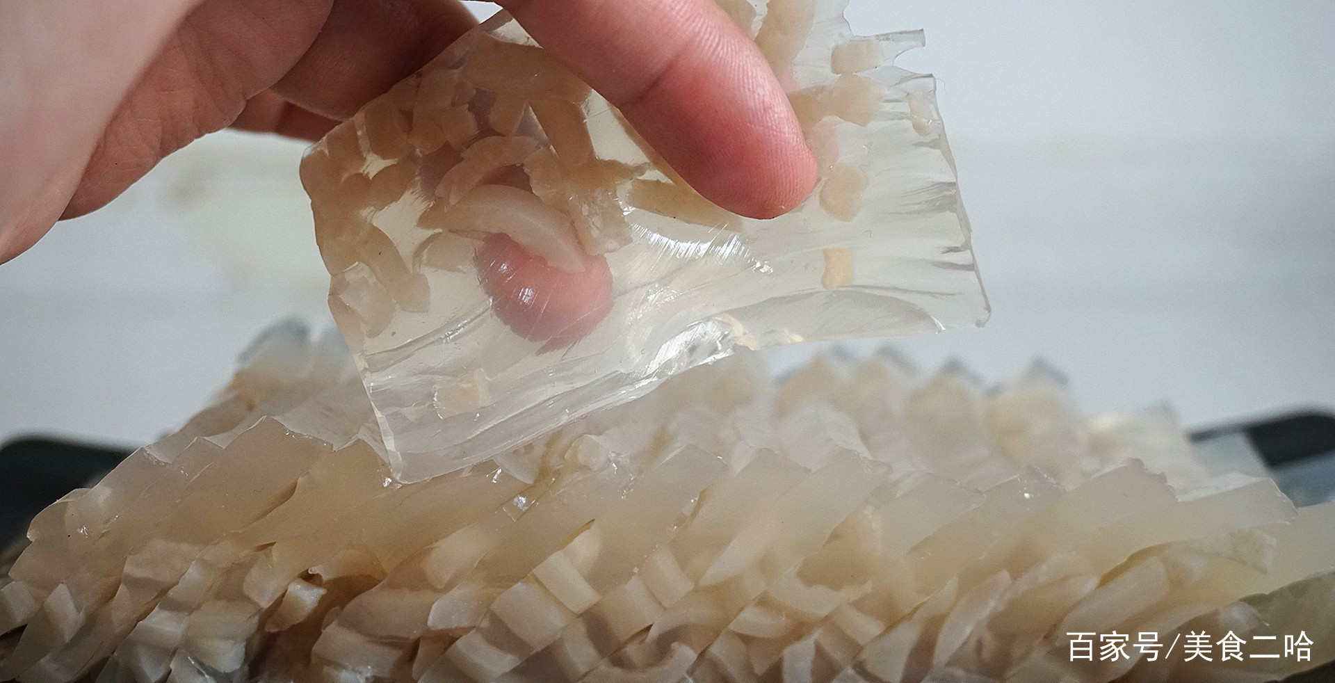 皮冻的熬制方法(生煎包皮冻的熬制方法)