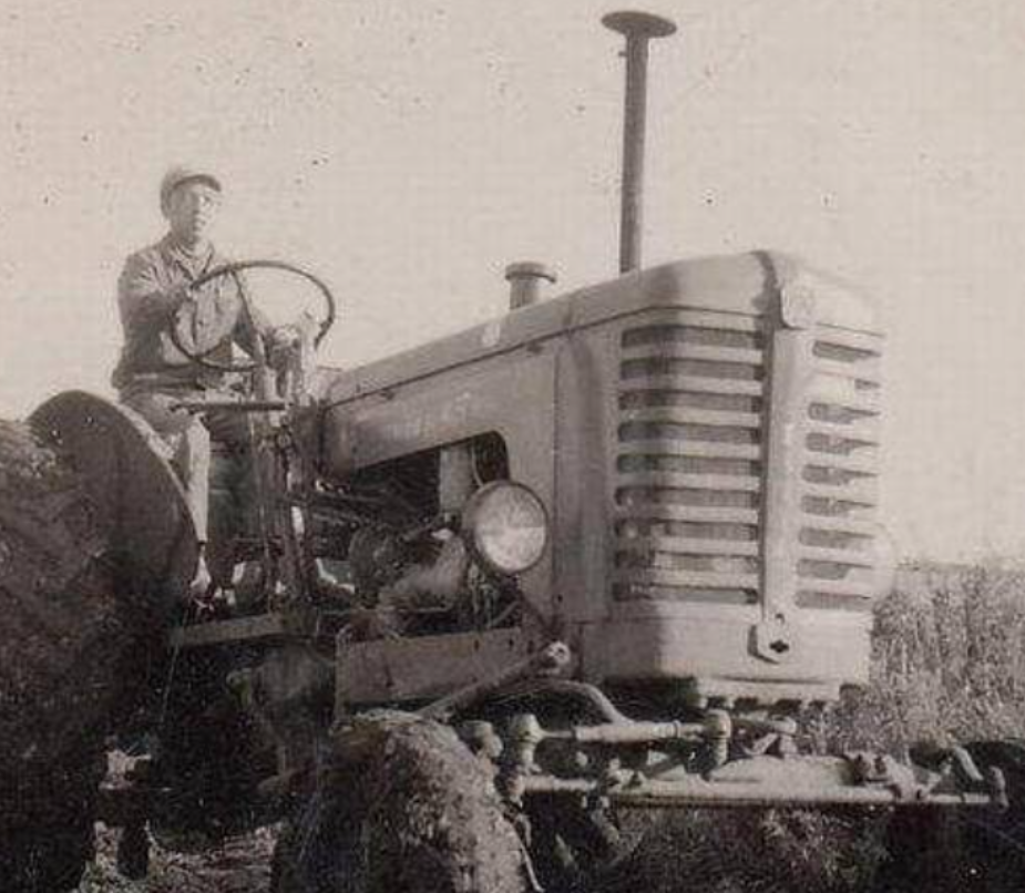 波兰拖拉机1955年图片
