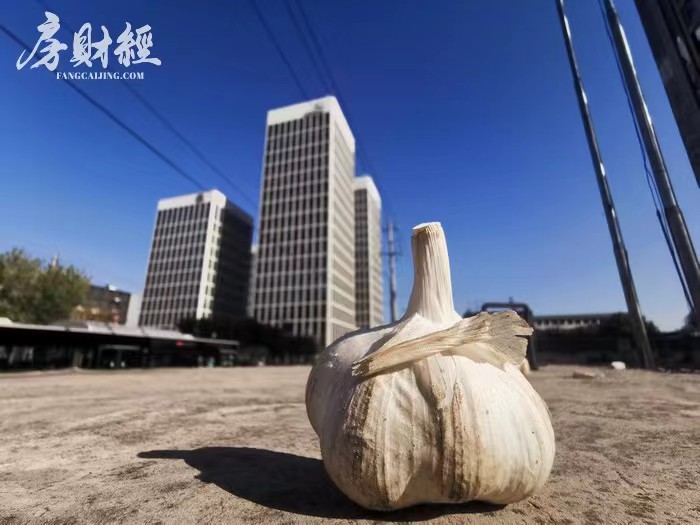 "披星戴帽"后股价狂跌33%,宋都股份推出高管增持计划