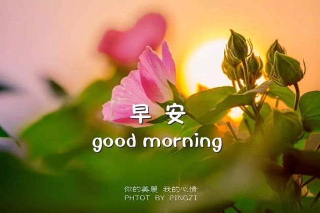 激励人心的早安心语文案 早安2021正能量最新图片