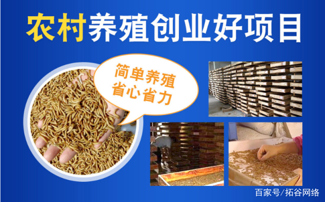 养殖什么利润高 养殖什么利润高些