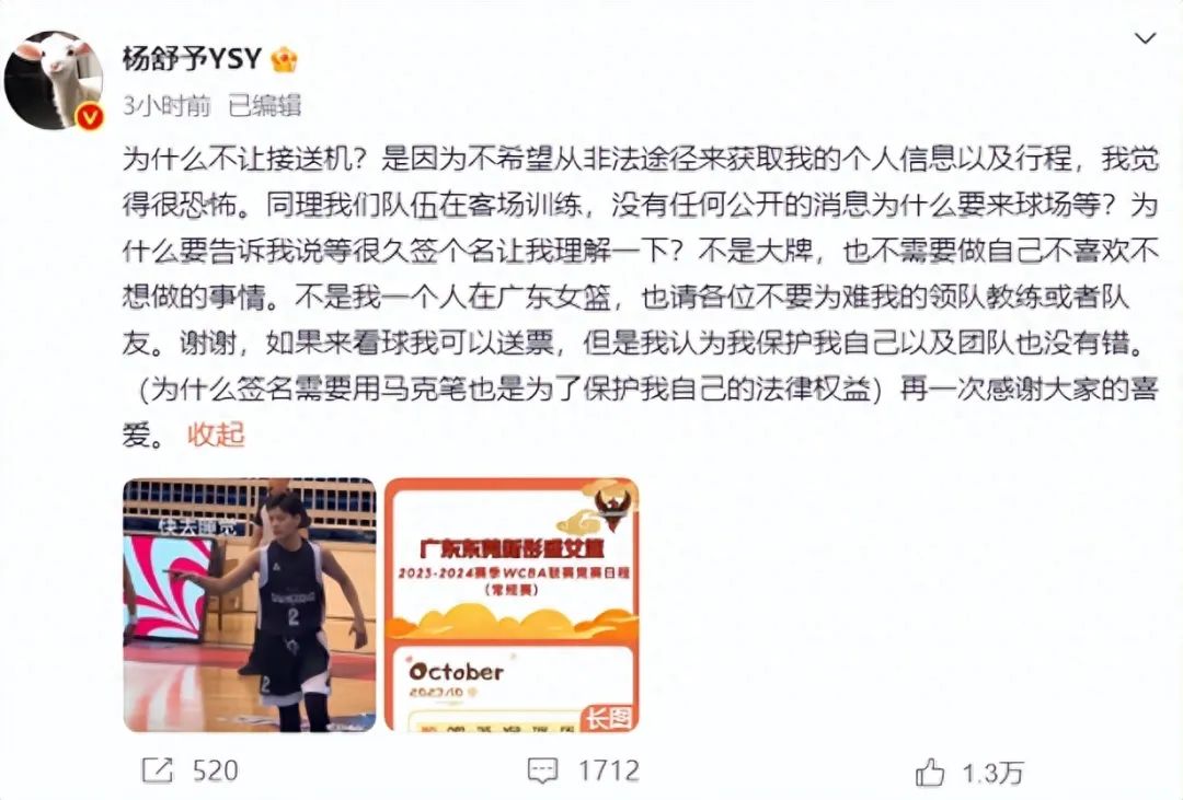 女篮球员杨舒予:粉丝接机很恐怖