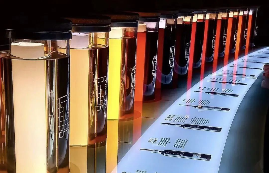 38张对比照片展示同一事物惊人的变化