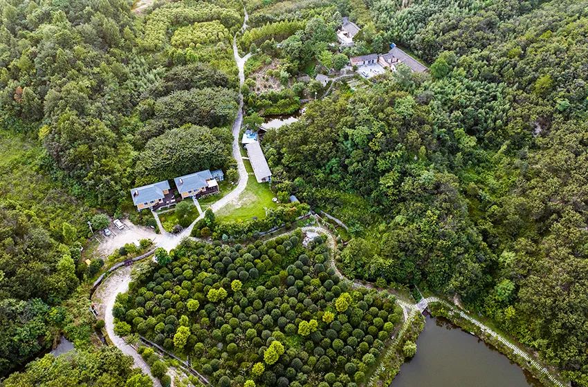 信阳罗山县:鸡笼山豫风楚韵浓,土房变民宿游客盈门