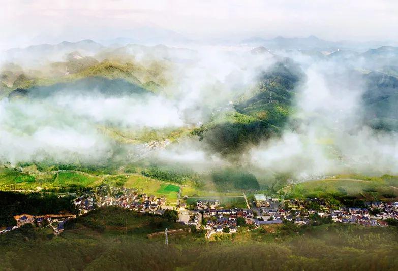 喜讯!临安区板桥镇入选2022年省级现代农业园区创建名单