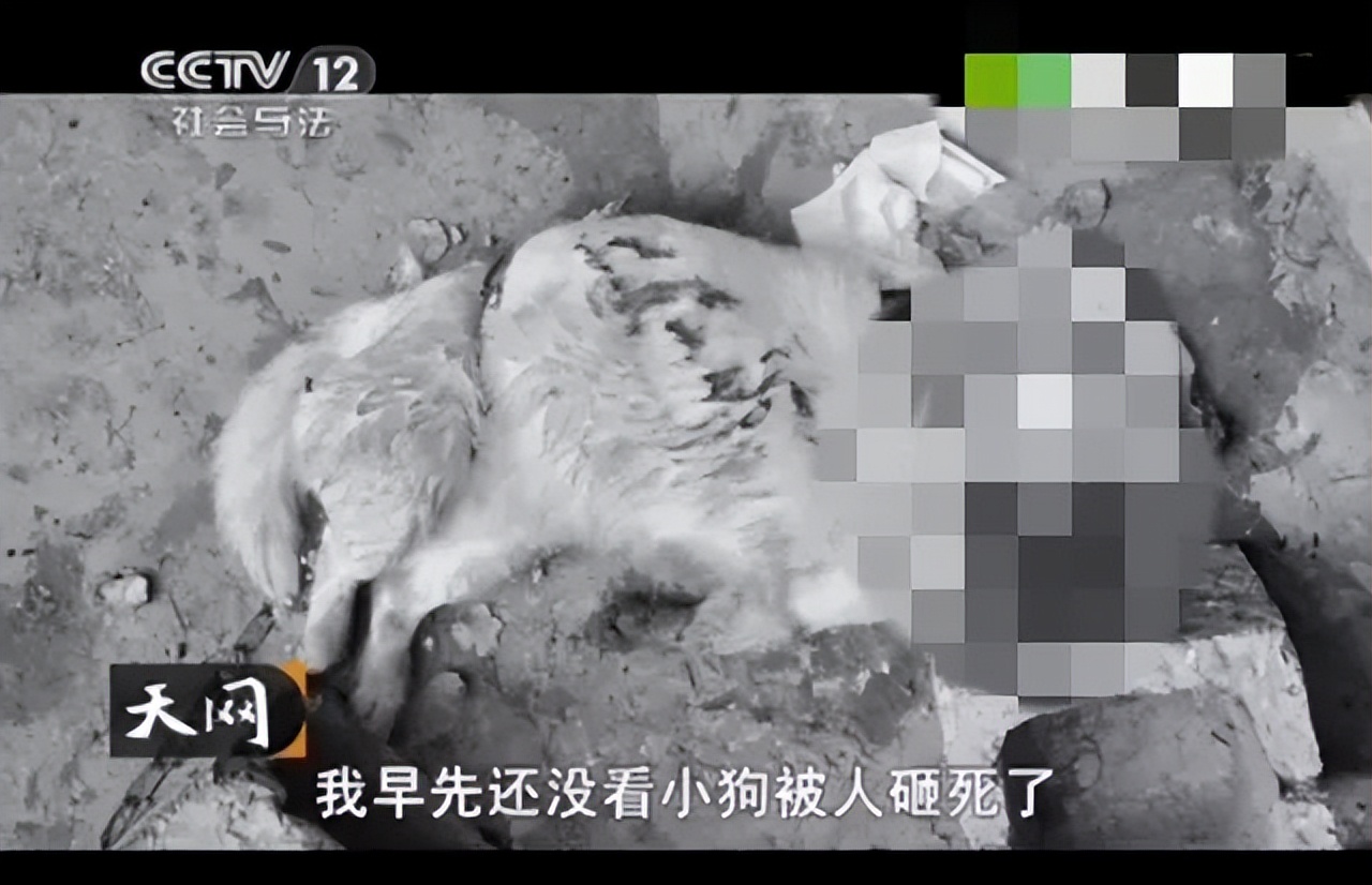 纪实:山东费县515惨案,新婚夫妻被恶魔折磨长达八小时!