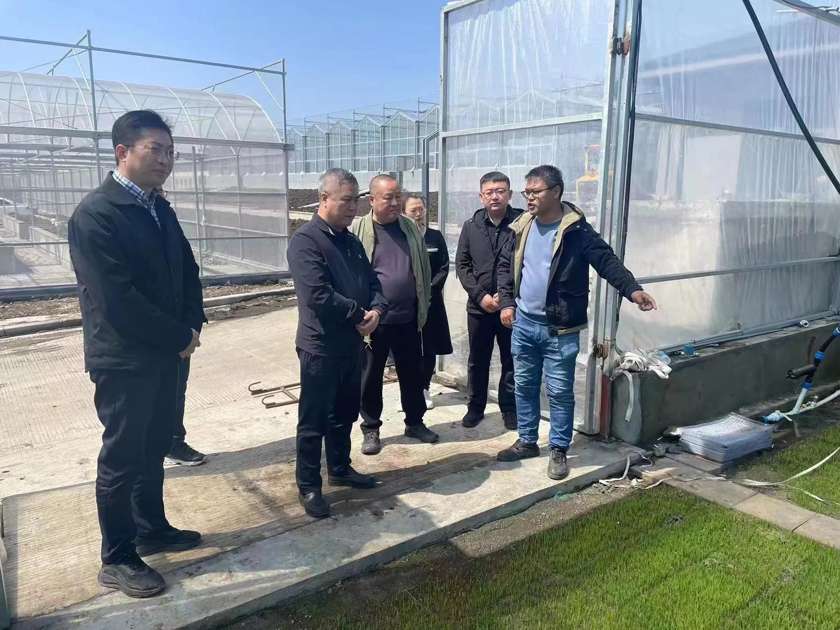 黑龙江省农业农村厅厅长王兆成赴宝清调研指导春耕生产等工作