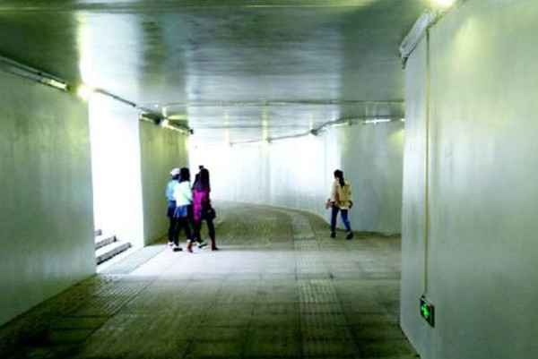 焦文军和马俊落网记:利用地下通道害人,导致多名玩手机路人丧命