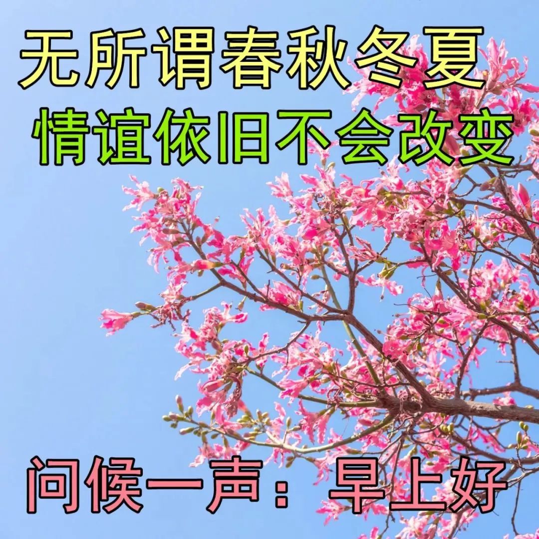 初夏最新早晨好问候表情图片 最美早安问候图片带字温馨句子