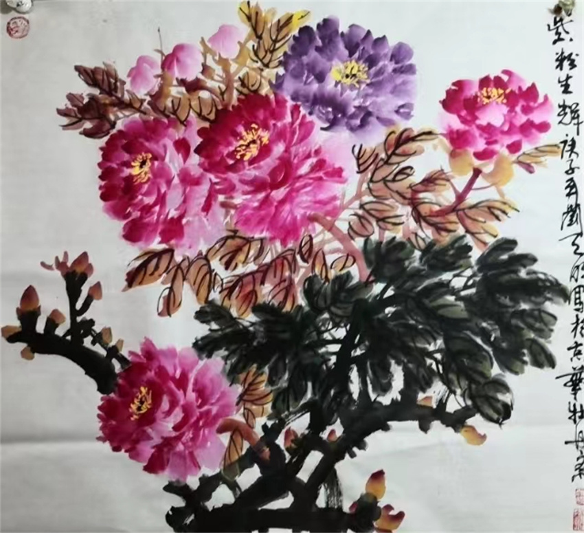 牡丹圣手中国第一牡丹王刘天明