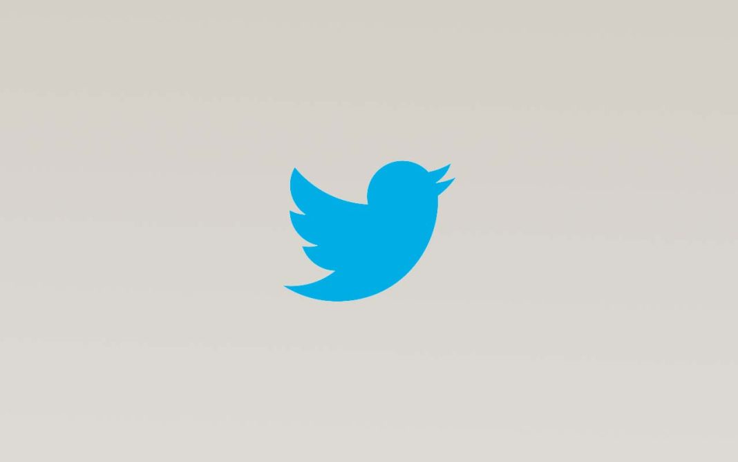 twiter logo图片