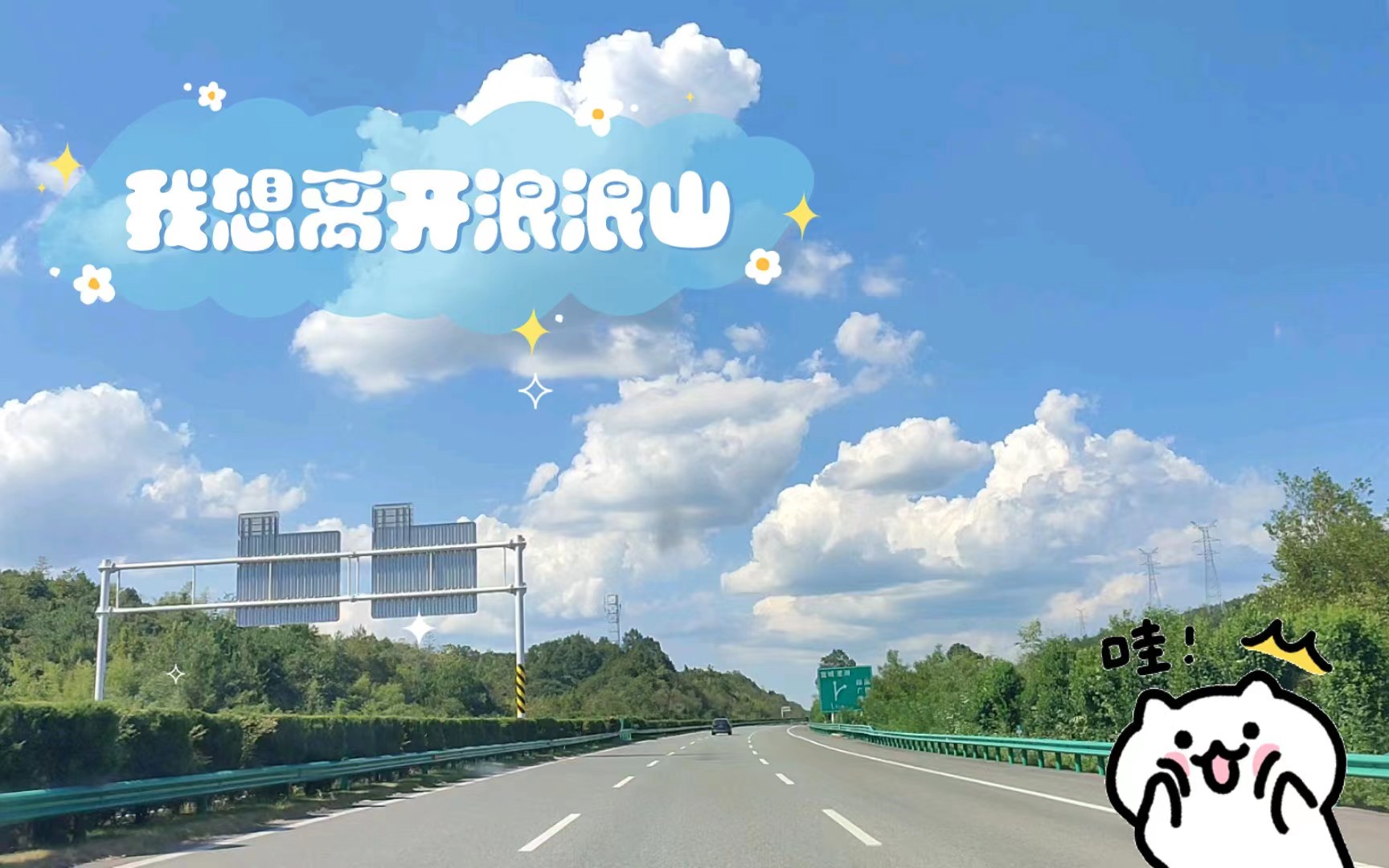 董卿:希望你能做出的每一个选择,不会让自己后悔