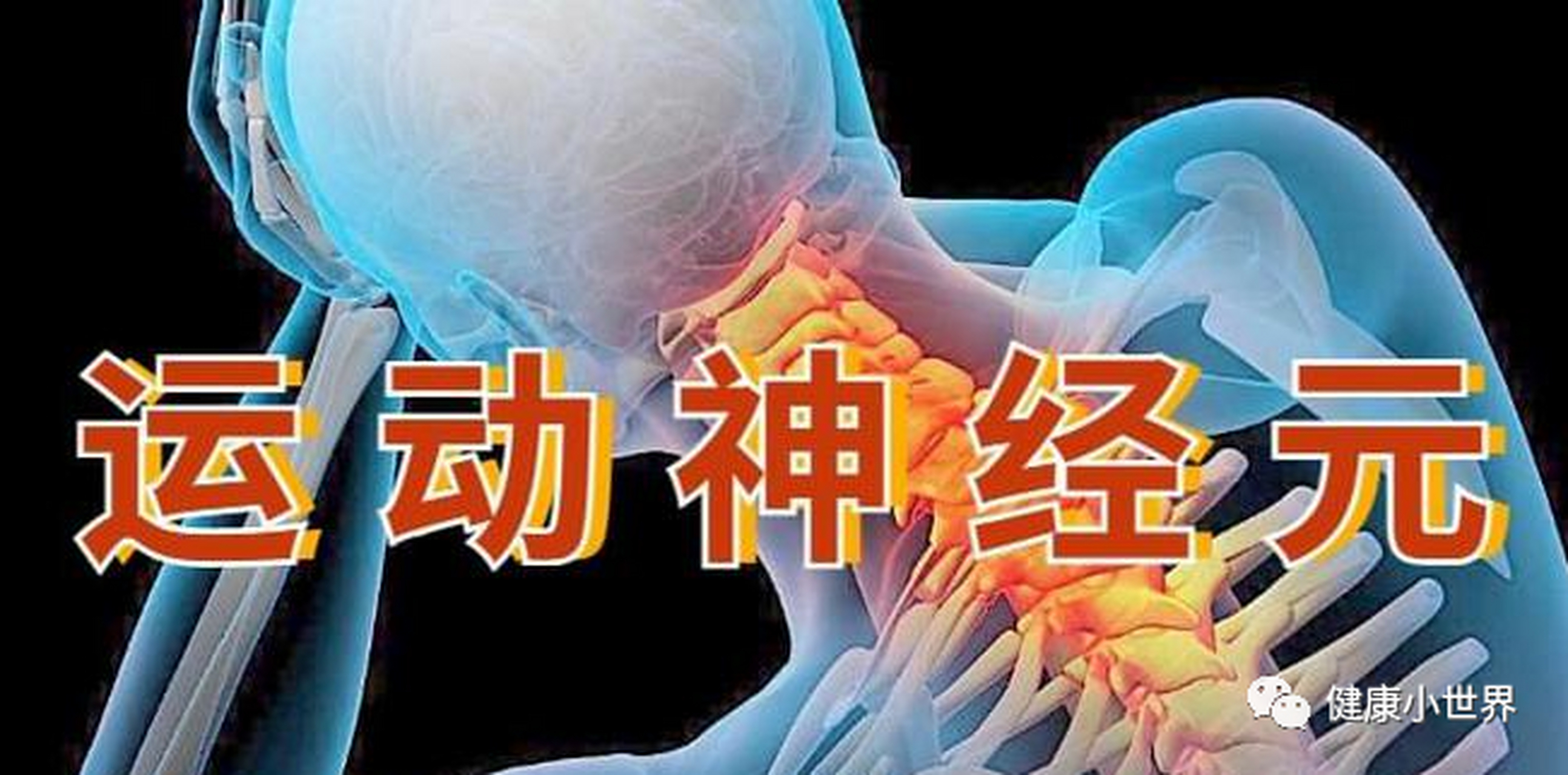 运动神经元病也叫作肌肉萎缩侧索硬化症,近年来,运动神经元病的发病率