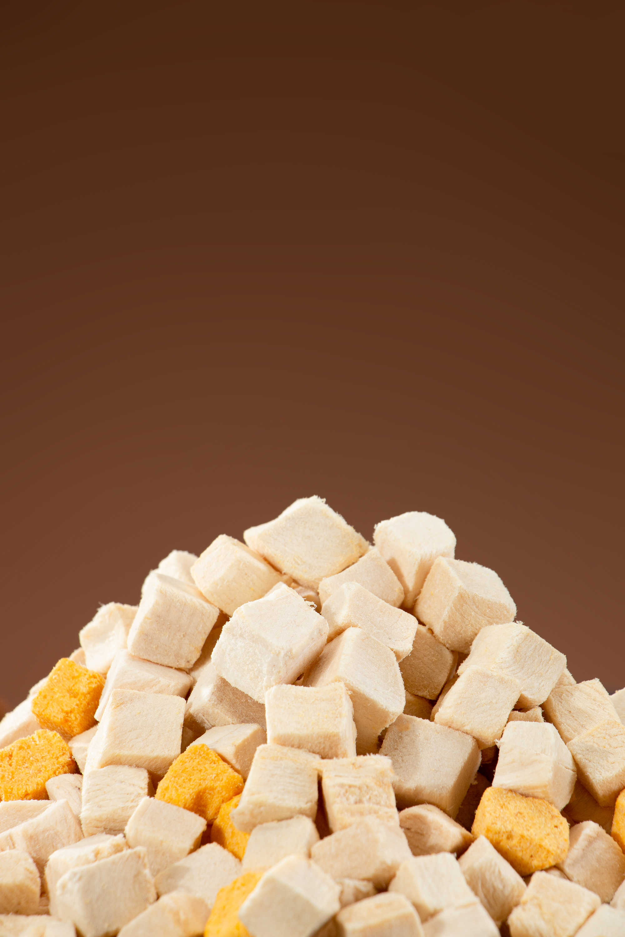 冻干机实用指南「新手科普」