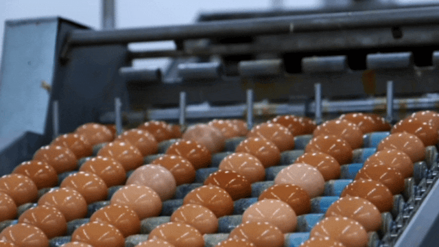 韩伟集团总经理韩建初参加辽宁省民营企业家代表早餐会