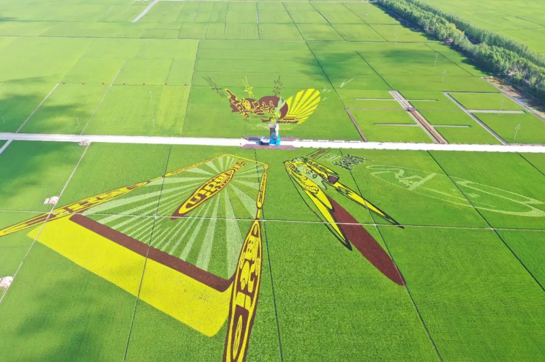 在加快现有景点建设的基础上,八五九农场有限公司将逐步开发原生态