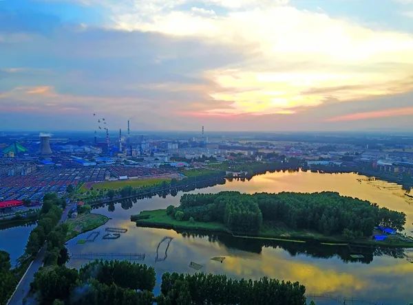 王军|祝贺西岗镇实现"全国百强镇"突破