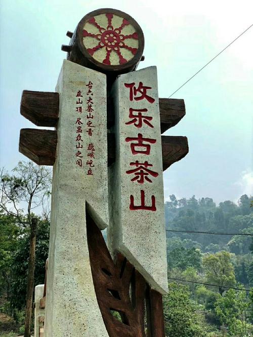 喝茶多年,西双版纳古六大茶山,你知道几个?(攸乐古茶山篇)