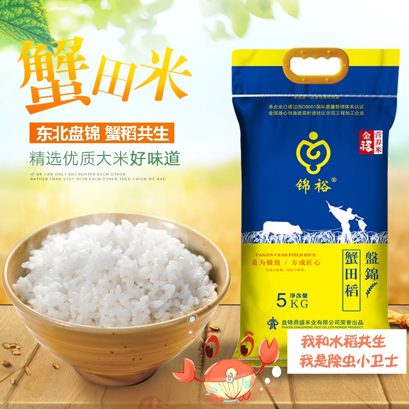 蟹稻共生模式:现代农业的新篇章