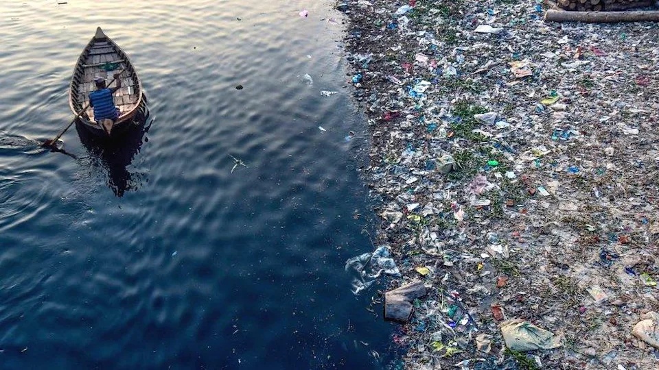 根据一项新的研究,外卖和方便食品的塑料包装和容器正在污染河流和