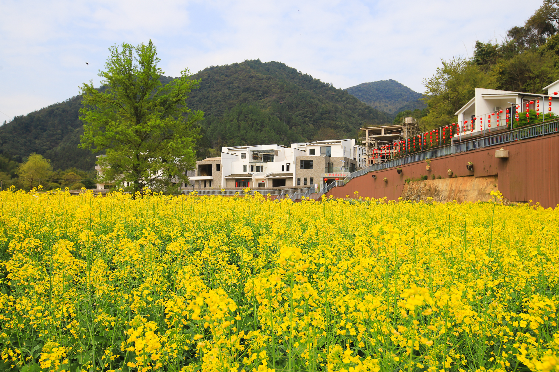 走进大余县丫山,打卡网红天空之镜,享一片林深树密的天然氧吧