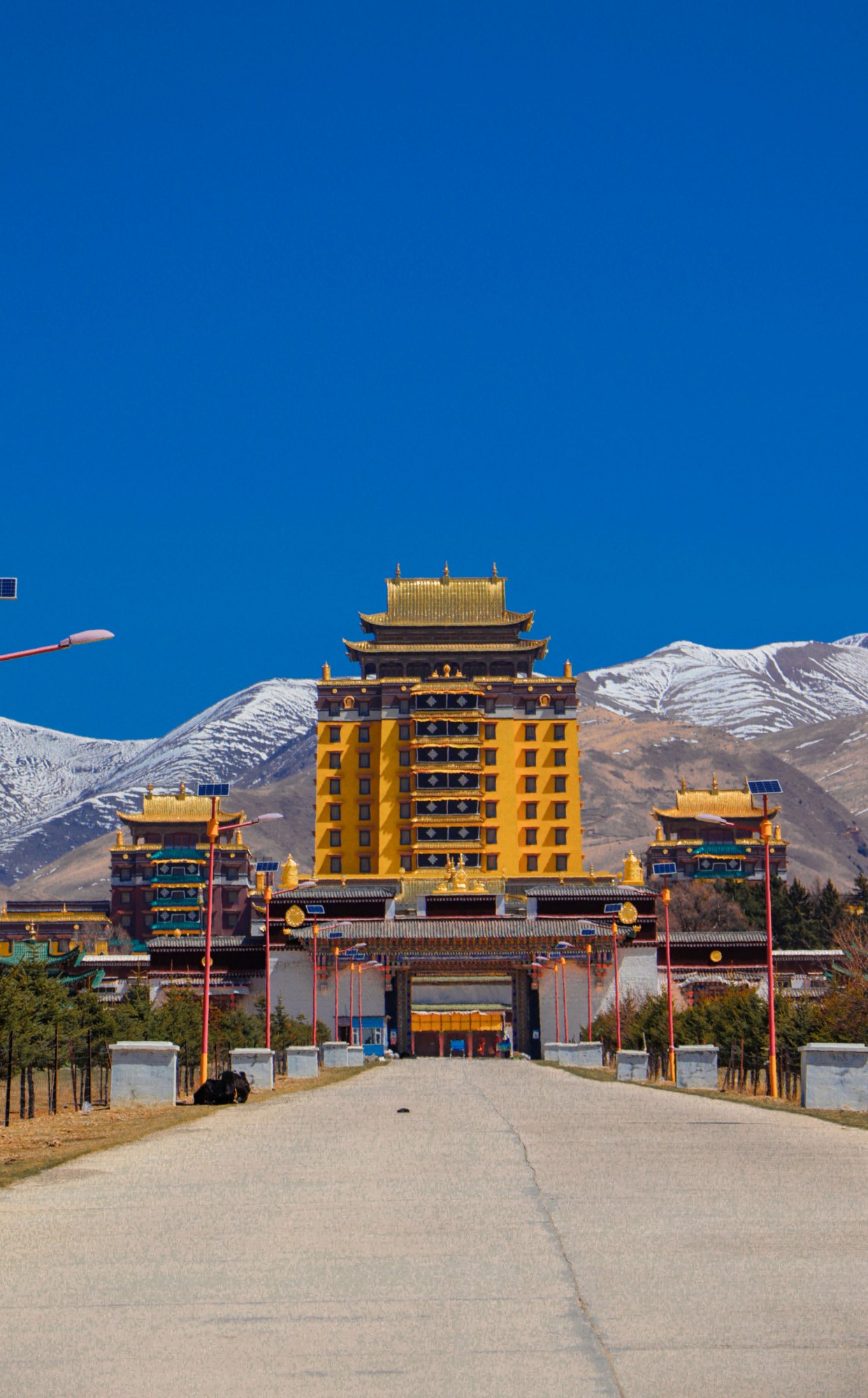 世界最大佛学院重新开放最全攻略串联川西魔兽世界藏传佛教