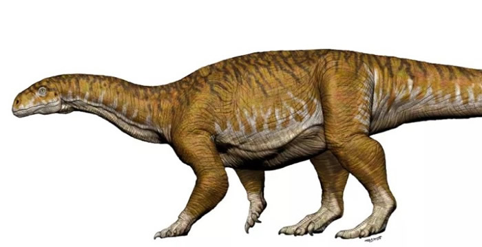 阿根廷巴塔哥尼亚发现迄今最大恐龙——巴塔哥泰坦龙