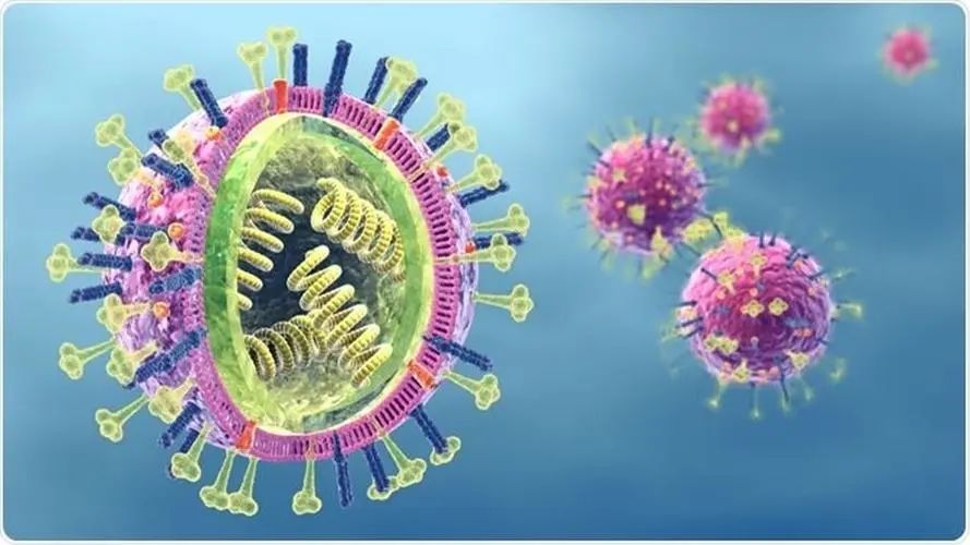 北京感染
病最新消息（北京感染
病最新消息确诊和新增）〔北京感染病例详情〕