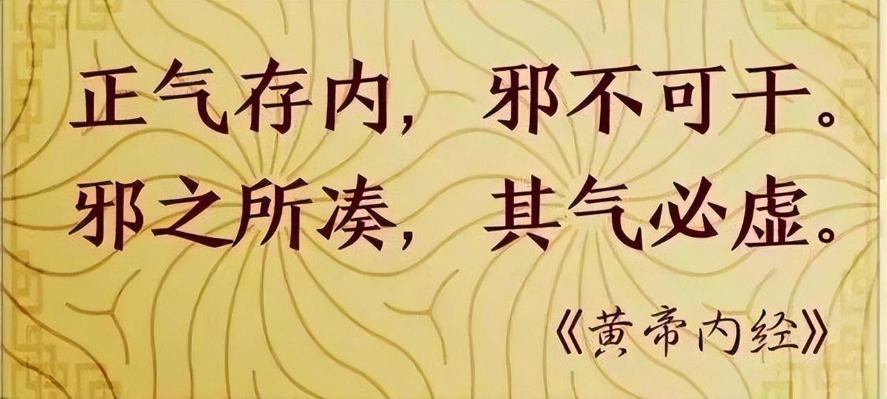 人活一口气,气是人之根本,一味中药得牢记,提高自身免疫力