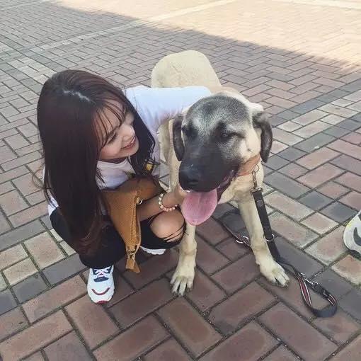 为啥公狗更喜欢女主人?无非是这些原因