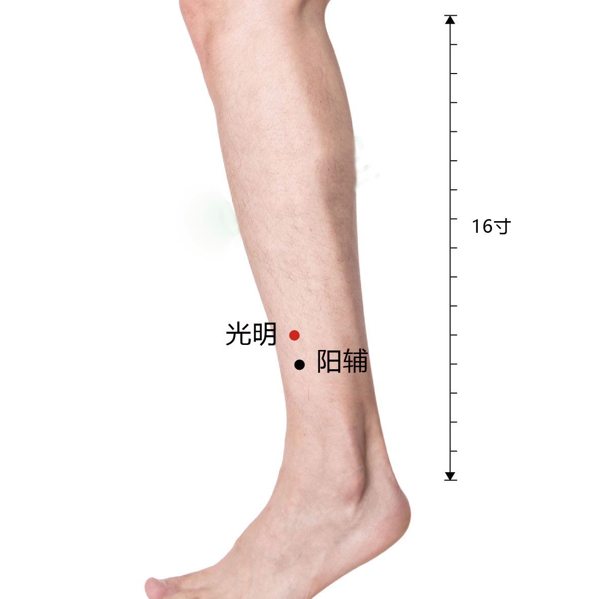 阳辅穴——熬夜头痛按按它