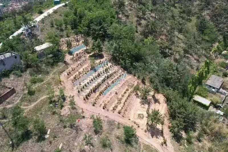 城阳鑫江华府南侧新建坟地?回应是规范化生态化改造