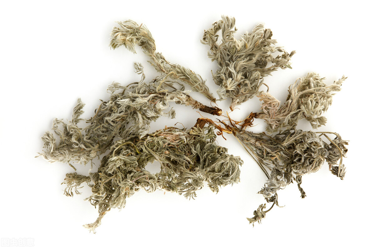 茵陈,一味可治结石,皮肤瘙痒,清湿热,保肝利胆的中药