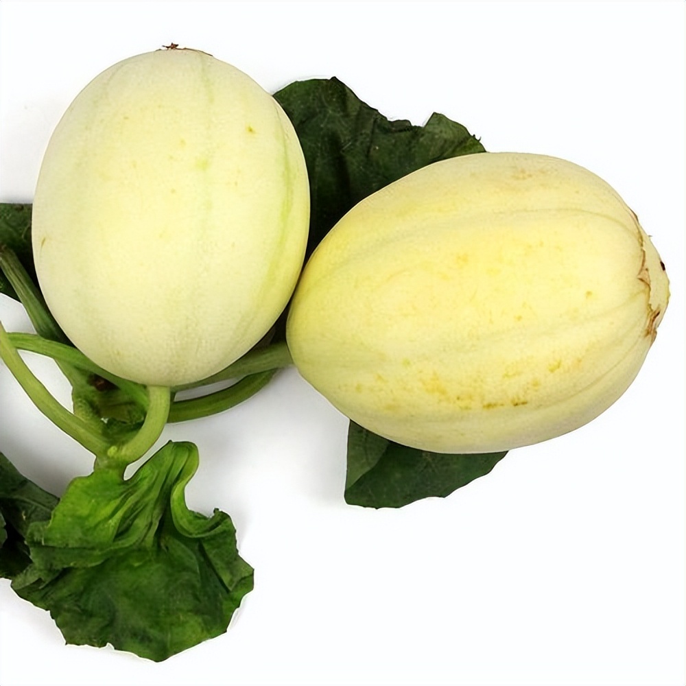 甜度达18度的薄皮甜瓜,又白又香甜,13年科研沉淀成就它